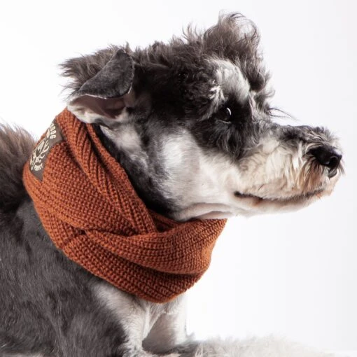 Touchdog Heavy Knitted Designer Fashion Winter Dog Scarf -Tropiclean Store touchdog heavy knitted winter dog scarf 104991