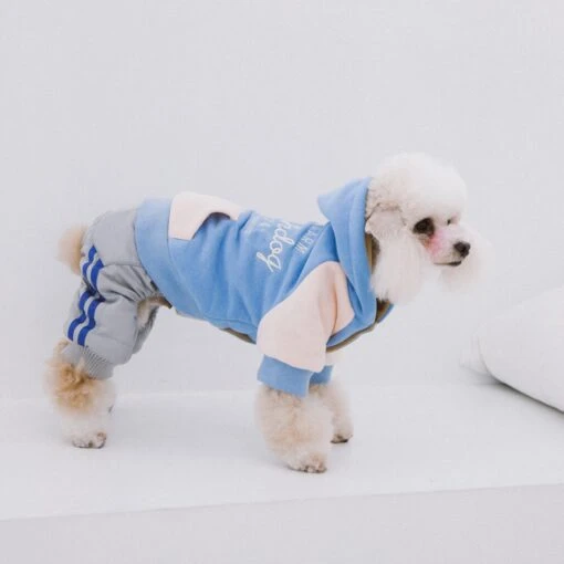 Touchdog 'Heritage' Soft-Cotton Fashion Dog Hoodie Sweater -Tropiclean Store touchdog heritage soft cotton fashion dog hoodie 880885 scaled