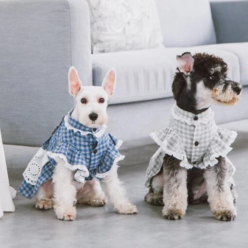 Touchdog 'I Love Poochi' Classical Plaid Fashion Designer Dog Dress -Tropiclean Store touchdog i love poochi classical fashion plaid dog dress 345373