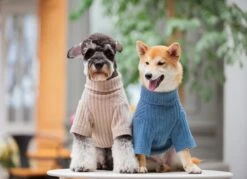 Touchdog ® 'Modress' Fashion Designer Dog Sweater And Dress -Tropiclean Store touchdog r modress fashion designer dog sweater and dress 339839