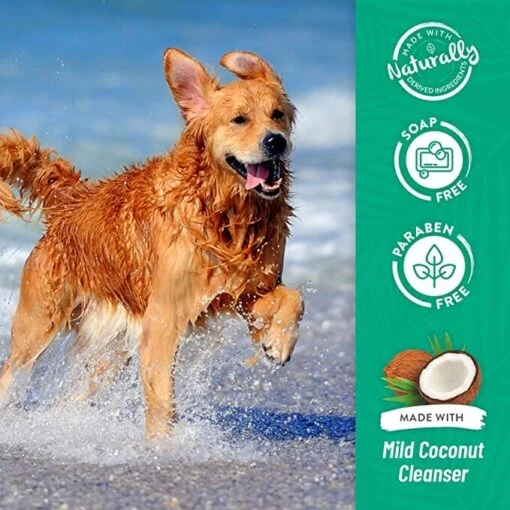 Tropiclean Berry And Coconut Cat And Dog Shampoo - 2.5 Gal -Tropiclean Store tropiclean berry and coconut cat and dog shampoo 25 gal 446065