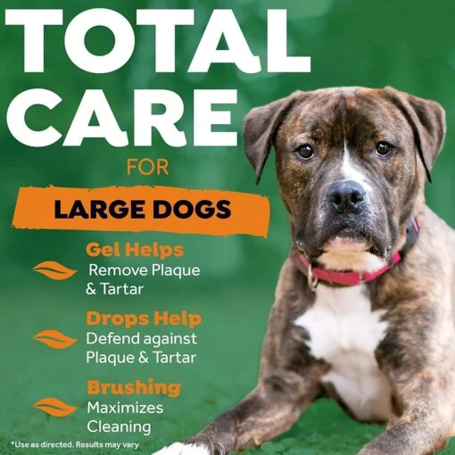 Tropiclean Fresh Breath Large Dog Total Care Kit - 2 Oz -Tropiclean Store tropiclean fresh breath large dog total care kit 2 oz 536795