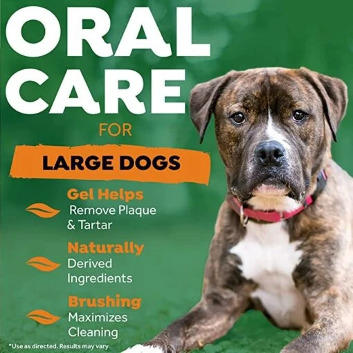 Tropiclean Fresh Breath Large Oral Care Kit For Dogs And Cats -Tropiclean Store tropiclean fresh breath large oral care kit for dogs and cats 512343