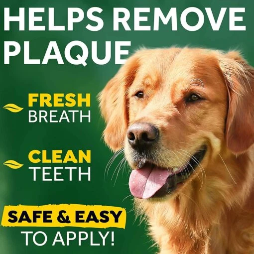 Tropiclean Fresh Breath No Brushing Clean Teeth Oral Care Gel For Dogs - 2 Oz -Tropiclean Store tropiclean fresh breath no brushing clean teeth oral care gel for dogs 2 oz 255003