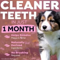 Tropiclean Fresh Breath No Brushing Clean Teeth Oral Care Gel For Puppies - 2 Oz -Tropiclean Store tropiclean fresh breath no brushing clean teeth oral care gel for puppies 2 oz 217582