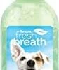 Tropiclean Fresh Breath No Brushing Clean Teeth Oral Care Gel Peanut Butter - 4 Oz -Tropiclean Store tropiclean fresh breath no brushing clean teeth oral care gel peanut butter 4 oz 750011