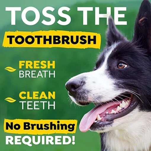 Tropiclean Fresh Breath Oral Care Dental Health Solution For Pets - 16 Oz -Tropiclean Store tropiclean fresh breath oral care dental health solution for pets 16 oz 108258