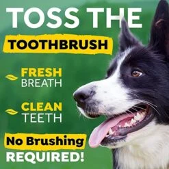 Tropiclean Fresh Breath Oral Care Dental Health Solution For Pets - 33.8 Oz -Tropiclean Store tropiclean fresh breath oral care dental health solution for pets 338 oz 596032