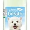 Tropiclean Fresh Breath Oral Care Dental Health Solution Plus Skin & Coat - 16 Oz -Tropiclean Store tropiclean fresh breath oral care dental health solution plus skin coat 16 oz 229412