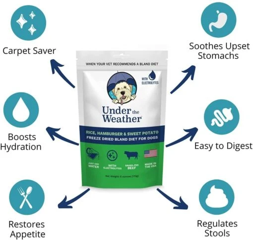 Under The Weather Hamburger, Rice & Sweet Potato Freeze-Dried Dog Food - 6 Oz -Tropiclean Store under the weather hamburger rice sweet potato freeze dried dog food 6 oz 879245