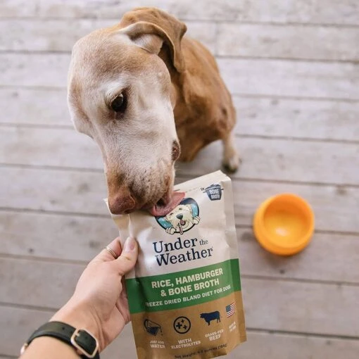 Under The Weather Rice, Hamburger & Bone Broth Freeze-Dried Dog Food - 6.5 Oz -Tropiclean Store under the weather rice hamburger bone broth freeze dried dog food 65 oz 946543